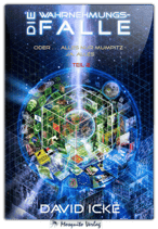 Die Wahrnehmungsfalle Teil 2 (Buch)