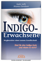 Indigo-Erwachsene (Buch)