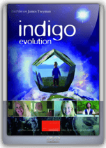 Indigo Evolution