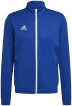 Präsentations-Anzug