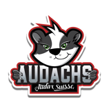 AUDACHS Magnet