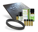 Synapse Release - Einstieg & Anwendung Set