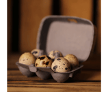 kleine Wachteleierschachtel: Grau