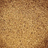 Kreidezeit Walnußschalengranulat