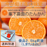 B3)たんかん（優品　2.5Kg）