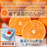 B5)たんかん（優品 4.5Kg）