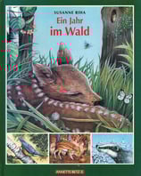 Ein Jahr im Wald