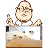 訪問鍼灸ご利用の流れ（新潟市｜西山鍼灸院）❷訪問ご説明【イメージ】