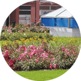 Schiller Gartengestaltung - Garten und Landschaftsbau Cuxhaven - Gewerbekunden - Dachbegrünung