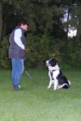 Bo (©Thea van Driel)