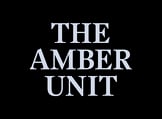 theamberunits Webseite!
