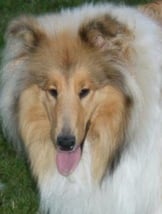 Lady Bayuma 12 Monate alt