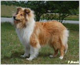 Lady Bayuma 8 Monate alt