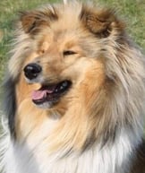 Lady Bayuma fast 2 Jahre alt !