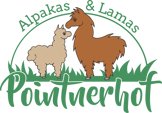 Pointnerhof Alpakas & Lamas