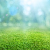 潜在意識を癒し変化を起こすシータヒーリング福井