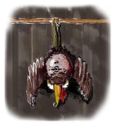 lack,leder,fledermaus