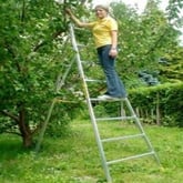 JUST festverlegte Leitern