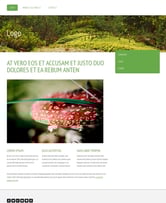 クリックでサンプルサイトへ