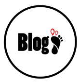 ARTICULO DEL TRIMESTRE