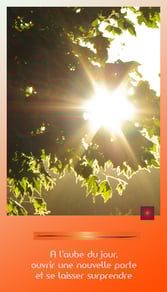 Jeu de Beauté ©Création Caroline SIMON