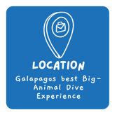 Location icon for Luxury Citizen Science Expeditions - Galapagos Shark Diving