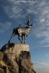 Beaumont hamel