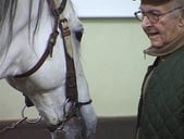 Freddy Knie senior (1920 – 2003)