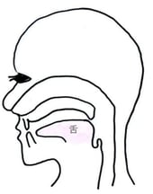 リラックス状態の口の図