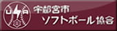 宇都宮市ソフトボール協会