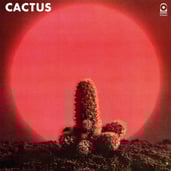 Cactus（カクタス）　１ｓｔ「Cactus」