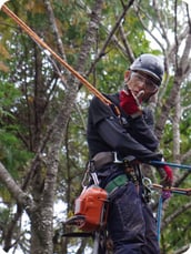 応援要請を受けた指導者｜ウッドタワー研究会