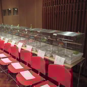 あいちトリエンナーレ里親会