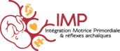 Logo de l'Intégration Motrice Primodiale approche éducative d'intégration des réflexes archaïques et primitifs