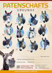 eselwandern-eifel-petra-landsberg-bongard