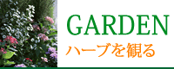 GARDEN　ハーブを観る