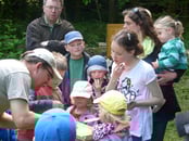 Keine Angst vor Bienen: Imker Michael Schärf zeigt die Honig-vollen Waben.
