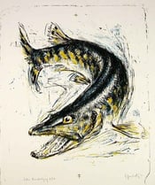 Grafik; Hecht von Roland Guatelli