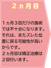 2か月目、月に２回程度