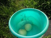 重量があるので水に沈みます！