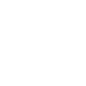 TRIBE of SLEEP