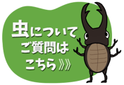 虫についてのご質問はこちら
