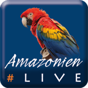 #AmazonienLive - Reisereportage aus Pará (Brasilien)