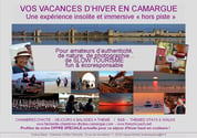 French holiday experience in Aigues-Mortes Camargue, lanscapes, local culture, remparts, salines