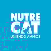 ⬆️ Click en el logo para ver video ▶️