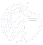 Ultra Endurance | Brevets | Ultradistanz