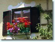 Fliegen Insektenschutz