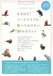 とり村回覧板　特別号
