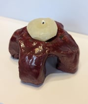 Foto: Shahla Aghapour