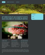 Chicagoのプリセット「Loop」